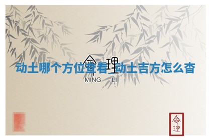 2025年12月21日适合开始施工吗,动土是好日子吗