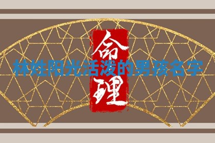 林姓阳光活泼的男孩名字