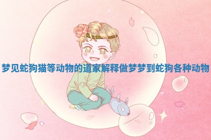 梦见蛇狗猫等动物的道家解释_做梦梦到蛇狗各种动物
