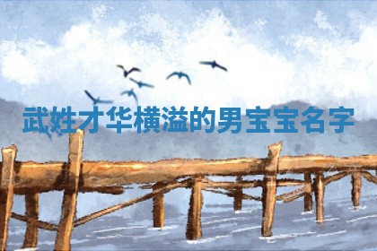 武姓才华横溢的男宝宝名字