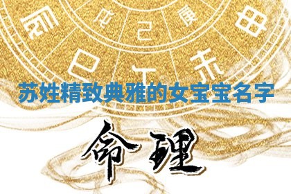 苏姓精致典雅的女宝宝名字