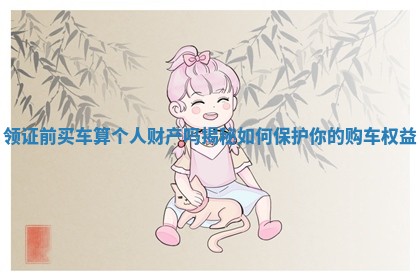 领证前买车算个人财产吗揭秘如何保护你的购车权益